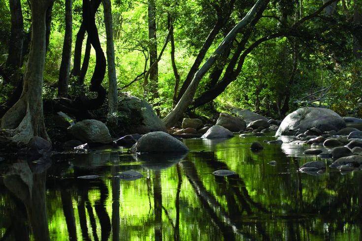 Chinnar Wildlife Sanctuary